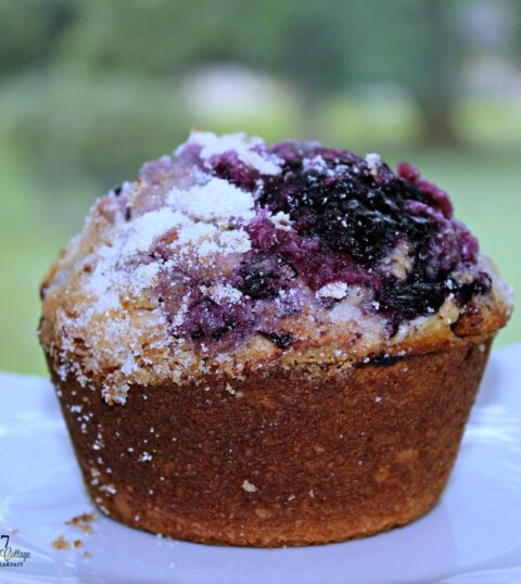 breakfast muffin